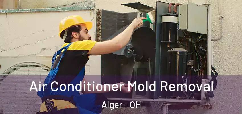 Air Conditioner Mold Removal Alger - OH