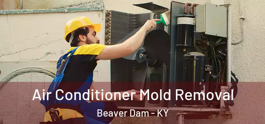 Air Conditioner Mold Removal Beaver Dam - KY