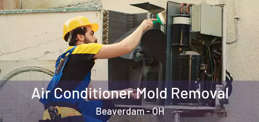 Air Conditioner Mold Removal Beaverdam - OH
