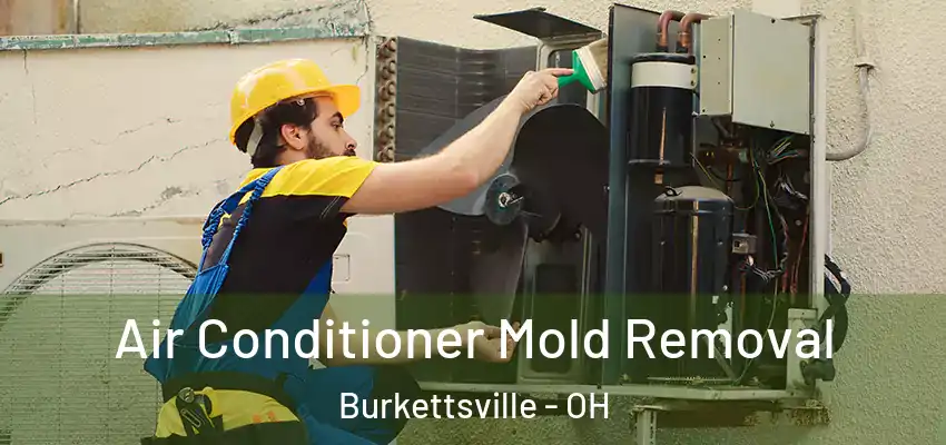  Air Conditioner Mold Removal Burkettsville - OH