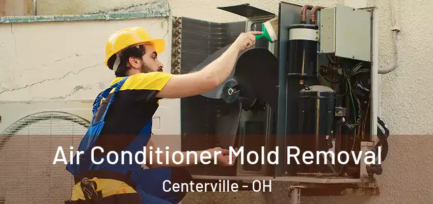  Air Conditioner Mold Removal Centerville - OH