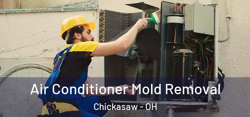 Air Conditioner Mold Removal Chickasaw - OH