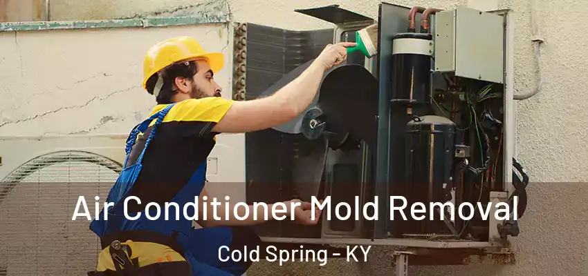  Air Conditioner Mold Removal Cold Spring - KY