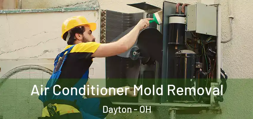  Air Conditioner Mold Removal Dayton - OH