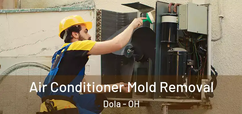 Air Conditioner Mold Removal Dola - OH