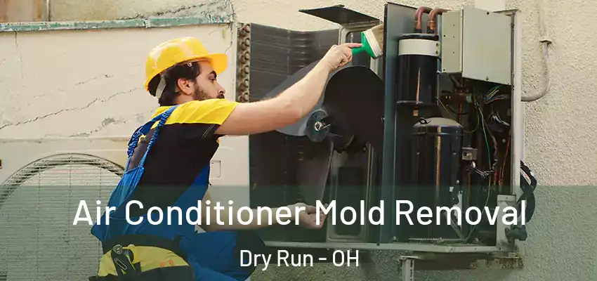  Air Conditioner Mold Removal Dry Run - OH
