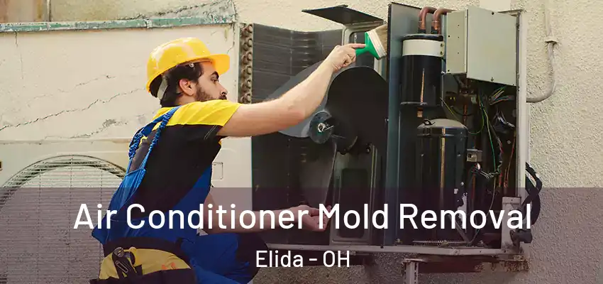 Air Conditioner Mold Removal Elida - OH