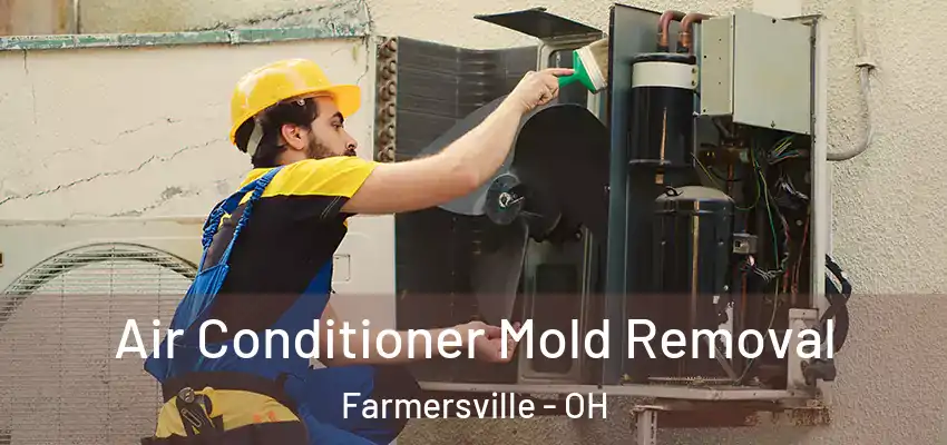  Air Conditioner Mold Removal Farmersville - OH