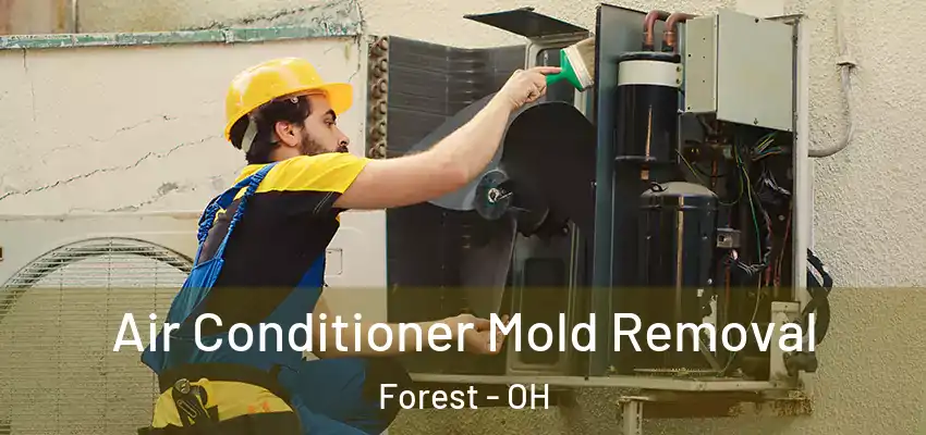 Air Conditioner Mold Removal Forest - OH