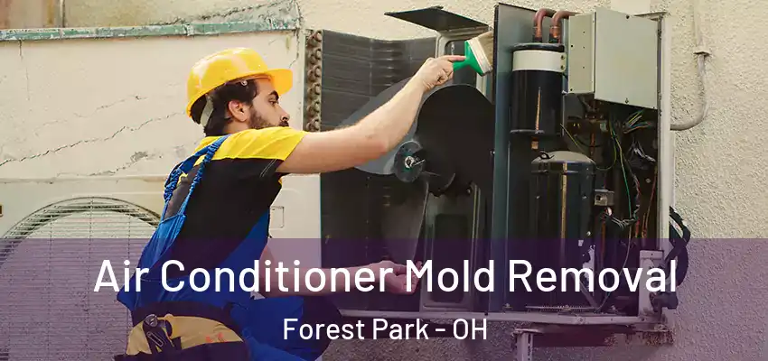 Air Conditioner Mold Removal Forest Park - OH