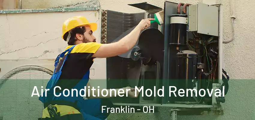 Air Conditioner Mold Removal Franklin - OH