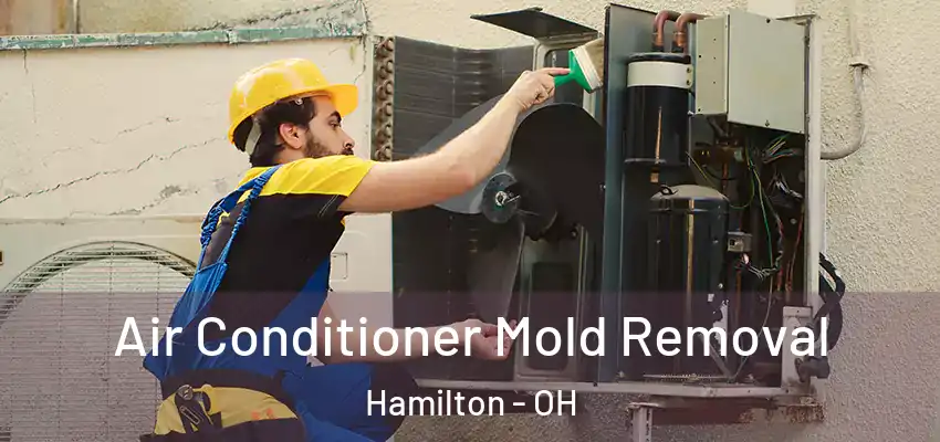 Air Conditioner Mold Removal Hamilton - OH