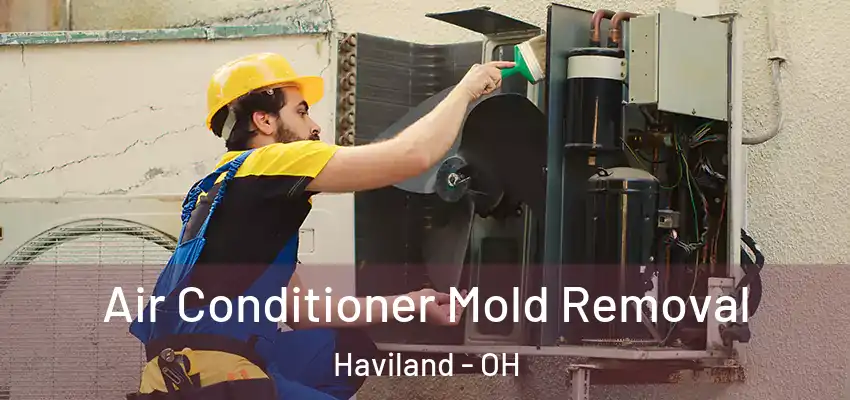  Air Conditioner Mold Removal Haviland - OH