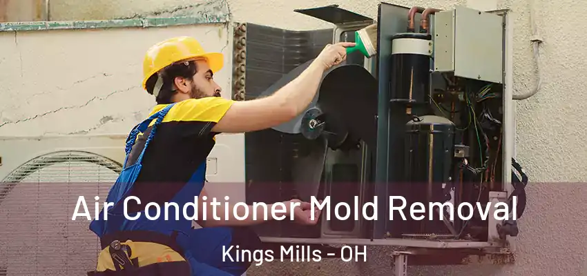  Air Conditioner Mold Removal Kings Mills - OH
