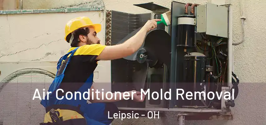 Air Conditioner Mold Removal Leipsic - OH