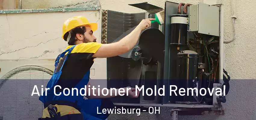  Air Conditioner Mold Removal Lewisburg - OH