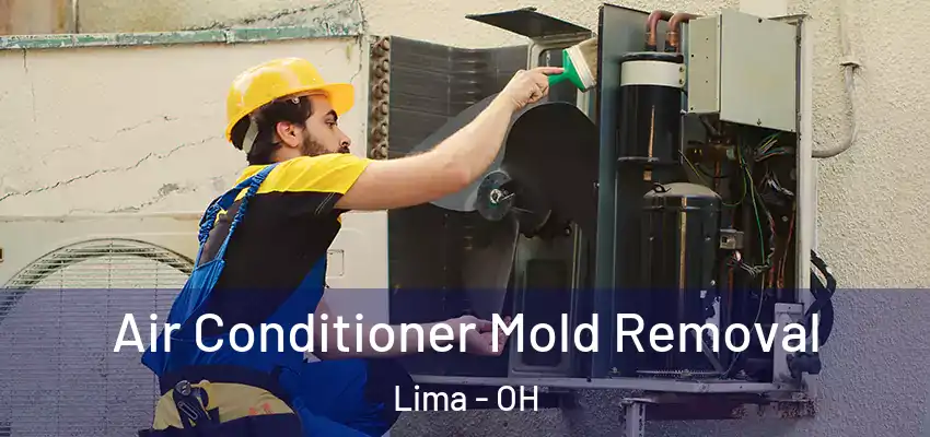 Air Conditioner Mold Removal Lima - OH