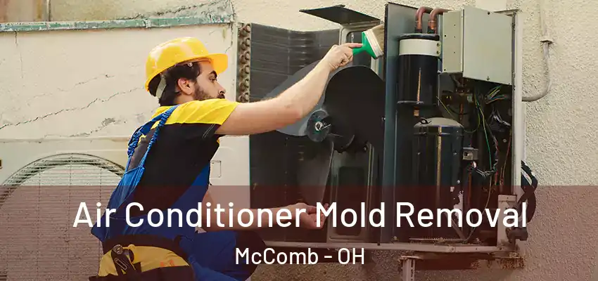  Air Conditioner Mold Removal McComb - OH