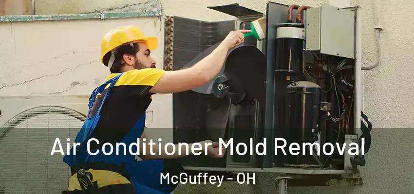 Air Conditioner Mold Removal McGuffey - OH