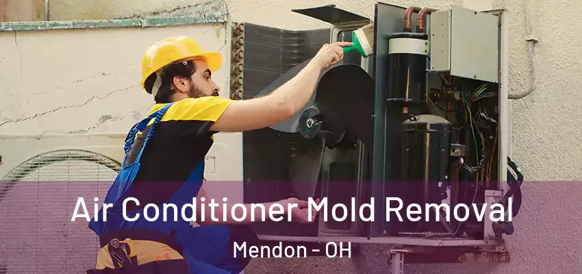 Air Conditioner Mold Removal Mendon - OH