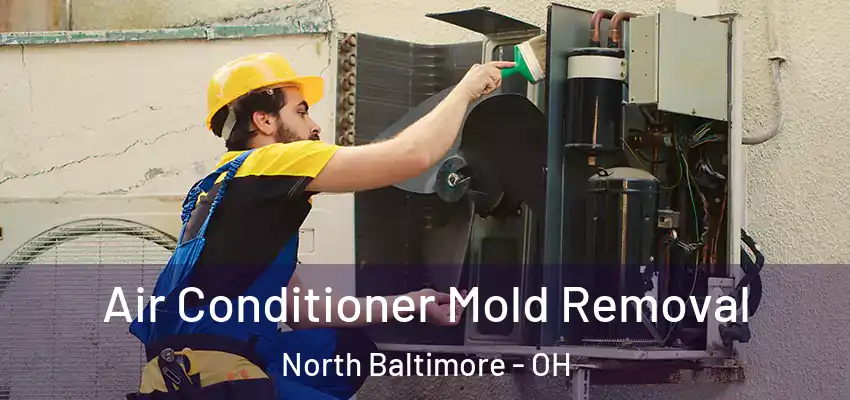  Air Conditioner Mold Removal North Baltimore - OH