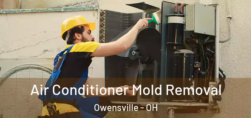  Air Conditioner Mold Removal Owensville - OH