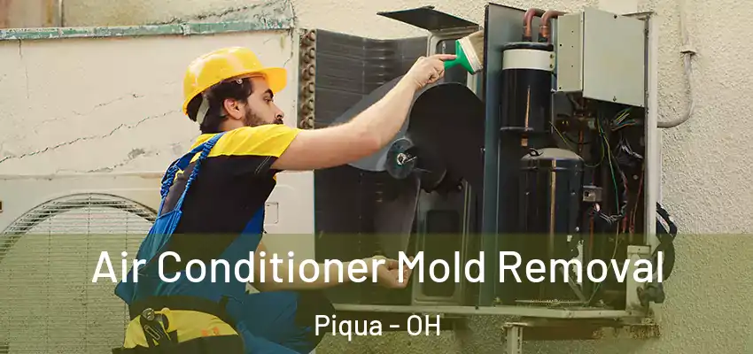  Air Conditioner Mold Removal Piqua - OH