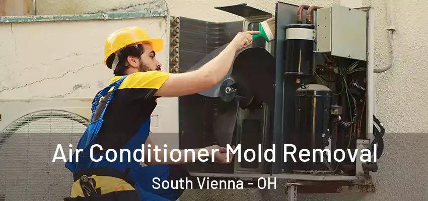  Air Conditioner Mold Removal South Vienna - OH