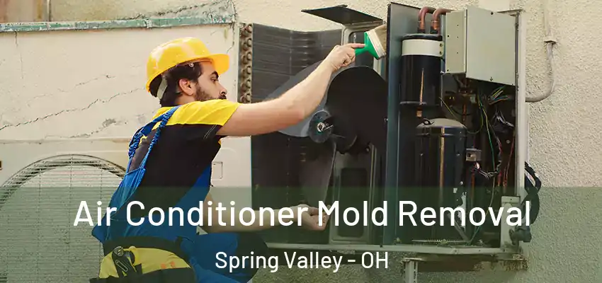 Air Conditioner Mold Removal Spring Valley - OH