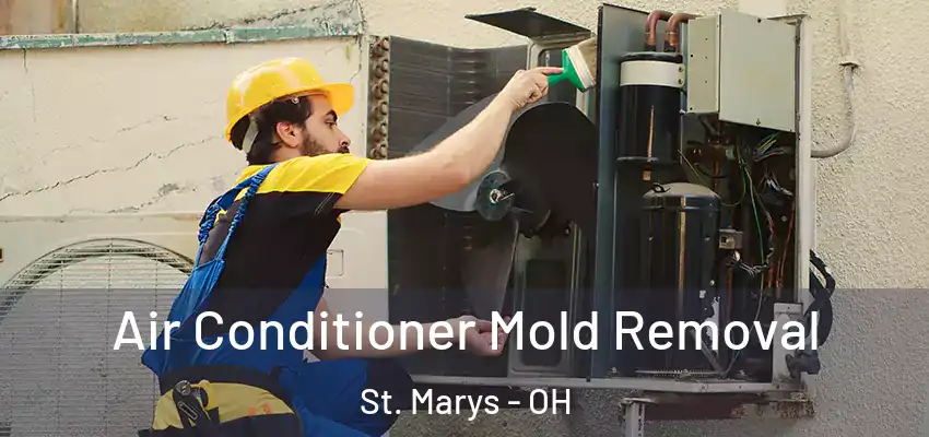 Air Conditioner Mold Removal St. Marys - OH