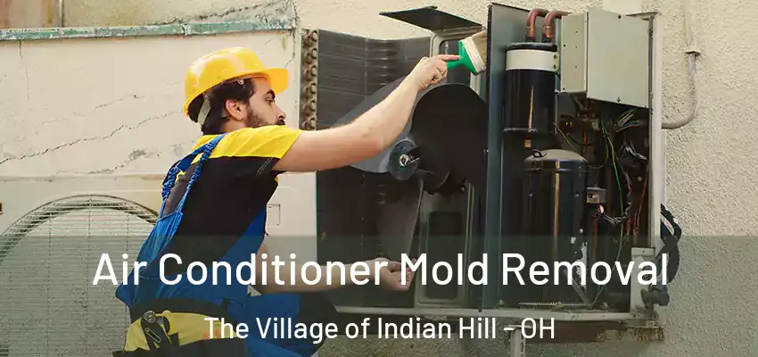 Air Conditioner Mold Removal The Village of Indian Hill - OH
