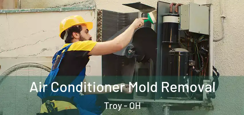 Air Conditioner Mold Removal Troy - OH
