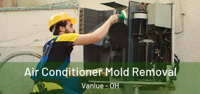Air Conditioner Mold Removal Vanlue - OH