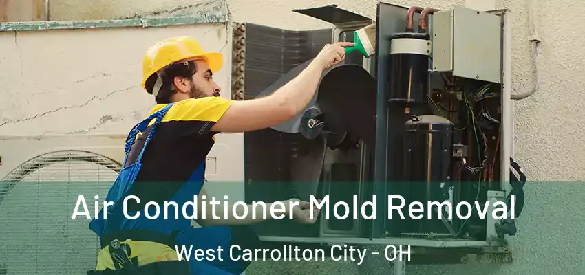 Air Conditioner Mold Removal West Carrollton City - OH