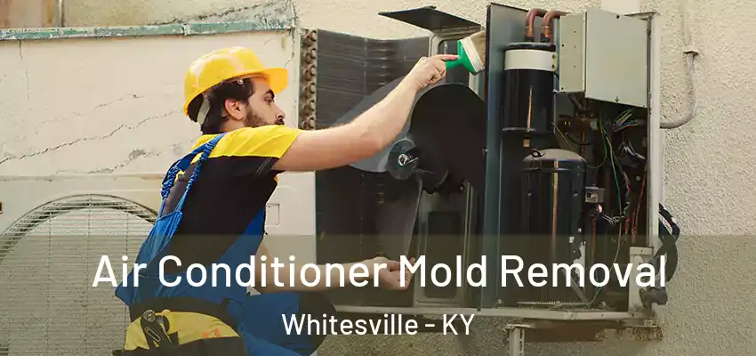  Air Conditioner Mold Removal Whitesville - KY