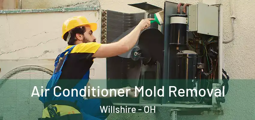Air Conditioner Mold Removal Willshire - OH