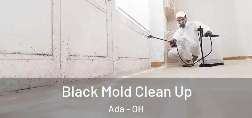  Black Mold Clean Up Ada - OH