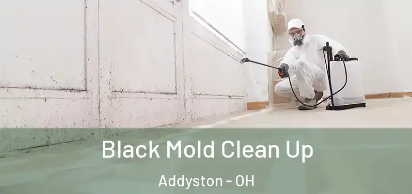 Black Mold Clean Up Addyston - OH