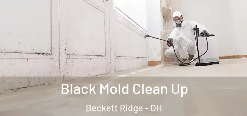  Black Mold Clean Up Beckett Ridge - OH