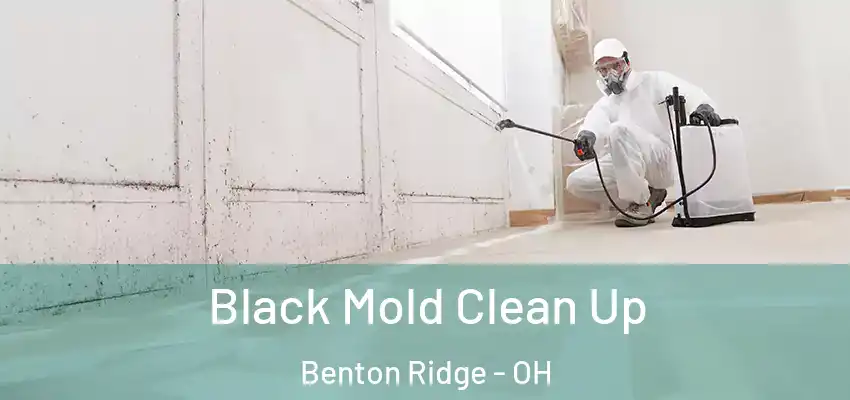 Black Mold Clean Up Benton Ridge - OH