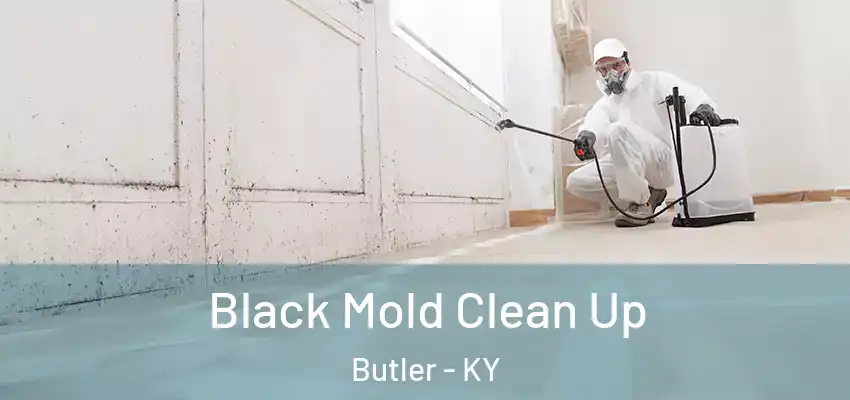 Black Mold Clean Up Butler - KY