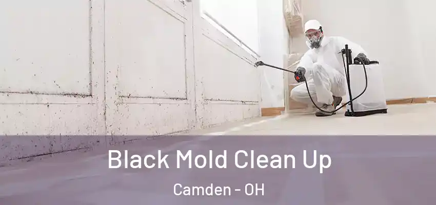Black Mold Clean Up Camden - OH