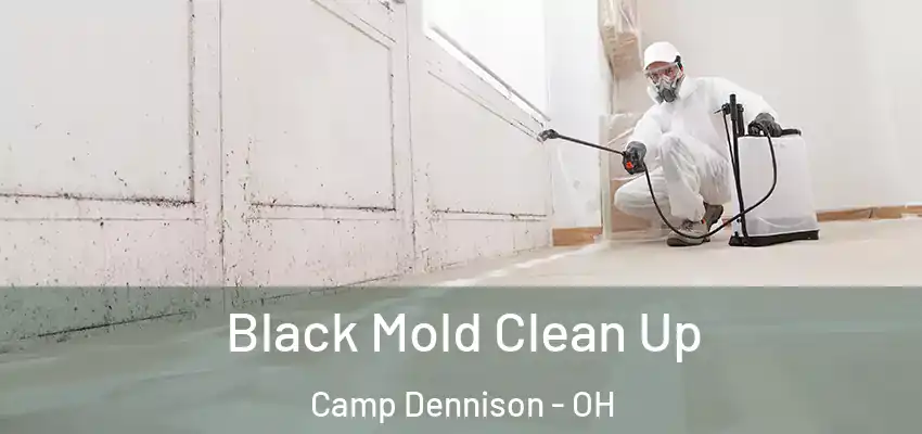 Black Mold Clean Up Camp Dennison - OH