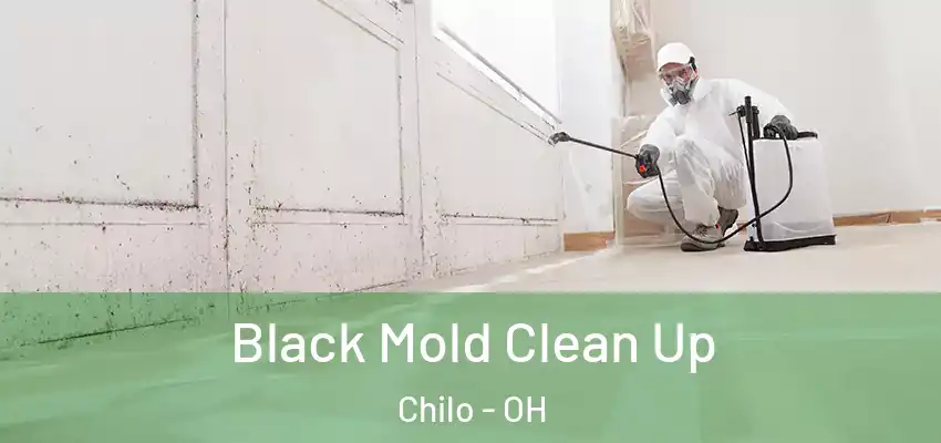 Black Mold Clean Up Chilo - OH