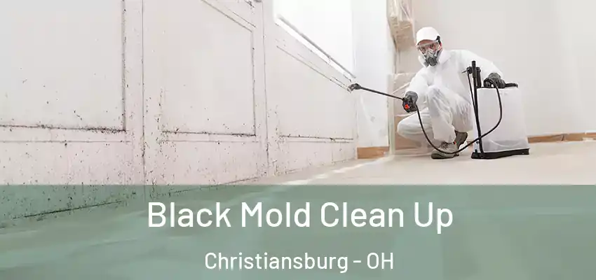 Black Mold Clean Up Christiansburg - OH