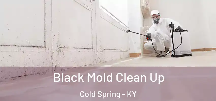 Black Mold Clean Up Cold Spring - KY