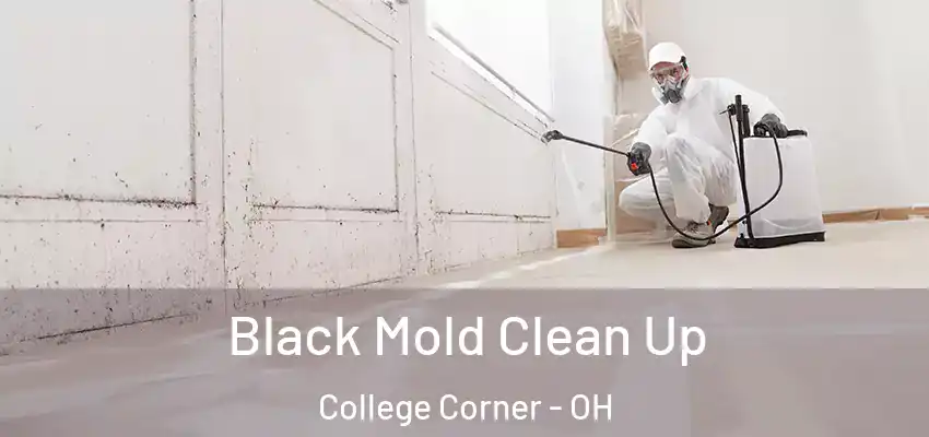 Black Mold Clean Up College Corner - OH