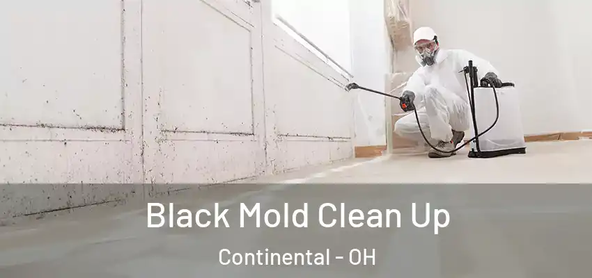 Black Mold Clean Up Continental - OH