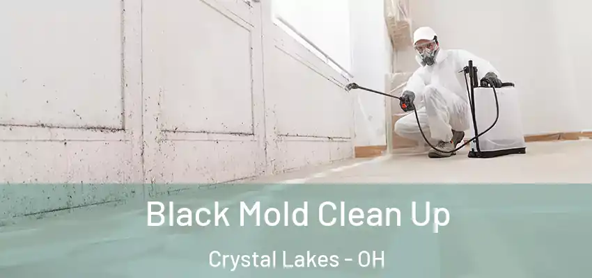Black Mold Clean Up Crystal Lakes - OH