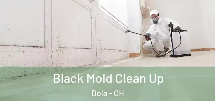 Black Mold Clean Up Dola - OH